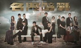 电视剧暗战在线观看,揭秘网络世界的生死较量